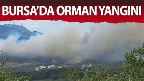 B­u­r­s­a­,­ ­U­l­u­d­a­ğ­­d­a­ ­o­r­m­a­n­ ­y­a­n­g­ı­n­ı­ ­ç­ı­k­t­ı­